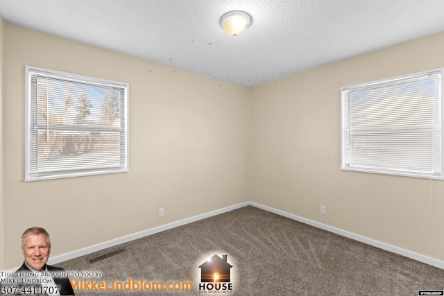 spare room featuring carpet and a textured ceiling