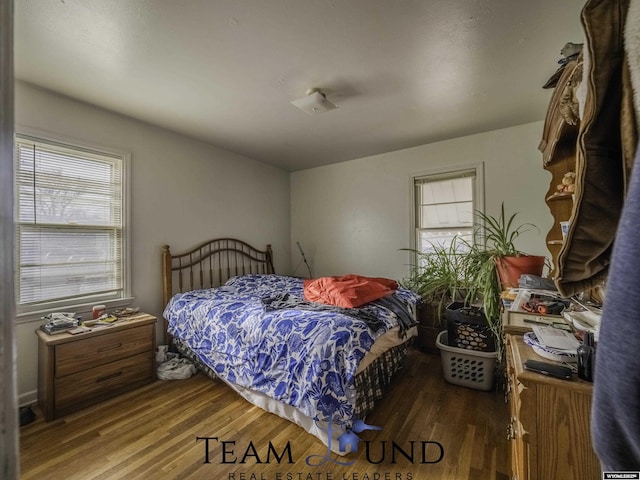 bedroom featuring multiple windows and wood-type flooring