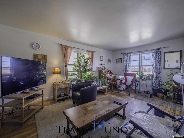 living room with wood-type flooring