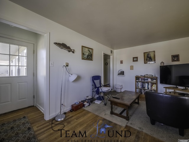 living room featuring hardwood / wood-style flooring