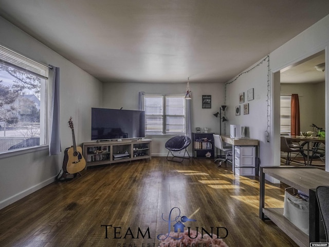 living room featuring dark hardwood / wood-style flooring