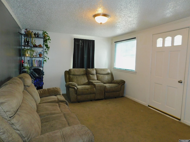 living room featuring carpet and a textured ceiling