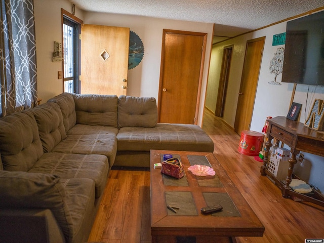 living room with hardwood / wood-style flooring and a textured ceiling