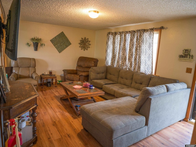 living room with hardwood / wood-style floors and a textured ceiling