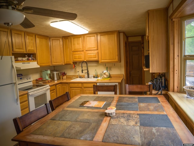 kitchen featuring ceiling fan, white appliances, and sink