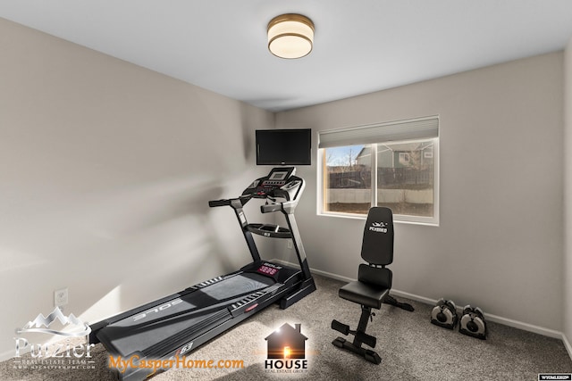 exercise room with carpet