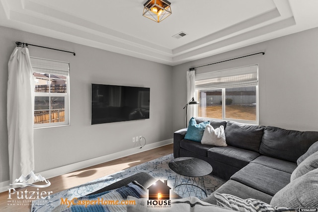 living room with wood-type flooring and a raised ceiling