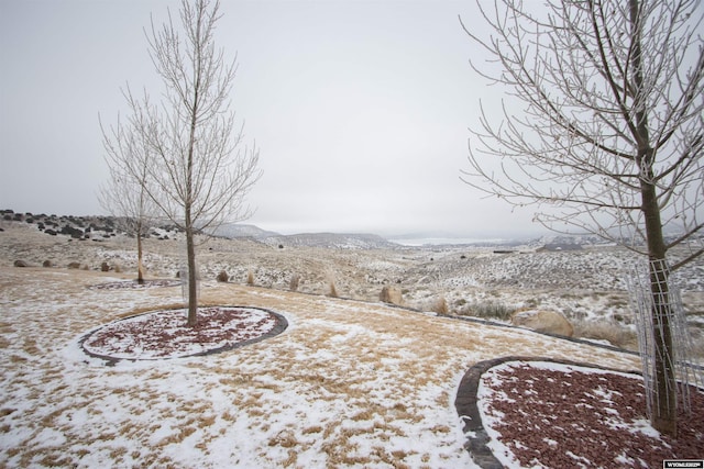 yard covered in snow with a mountain view