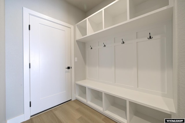 mudroom with hardwood / wood-style flooring