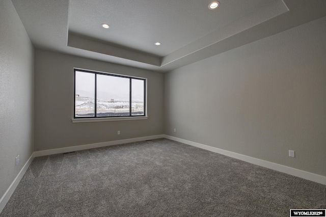 spare room featuring carpet and a tray ceiling