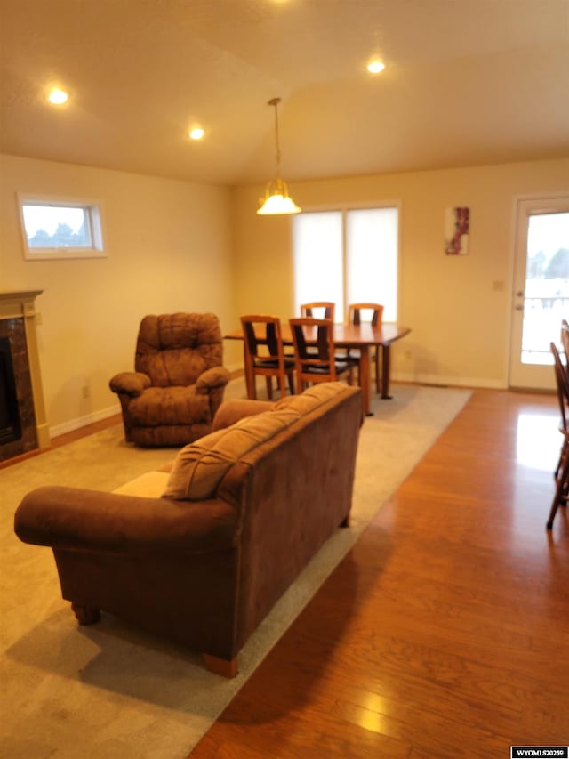 living room featuring a fireplace and light wood-type flooring