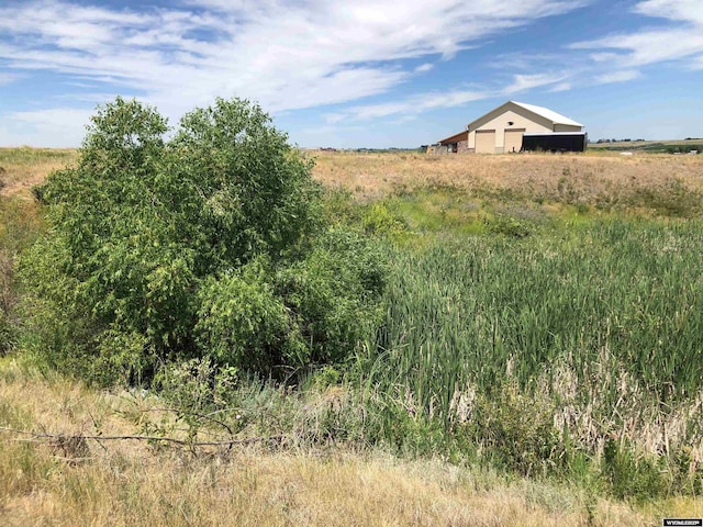 view of local wilderness with a rural view