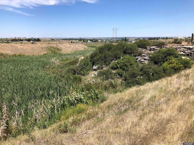 view of local wilderness with a rural view