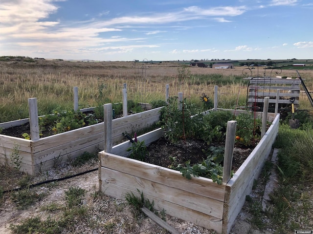 view of yard with a rural view