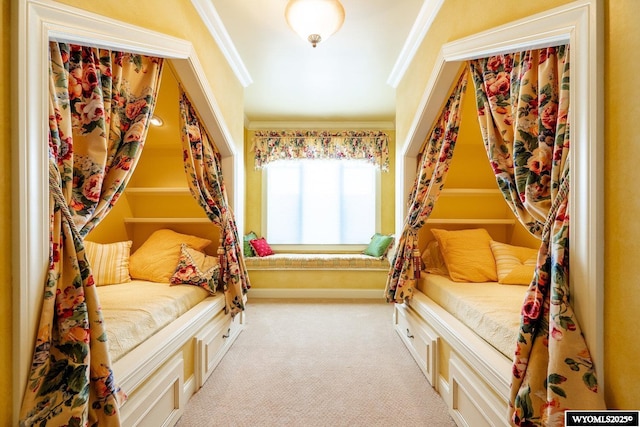 bedroom with crown molding and carpet flooring