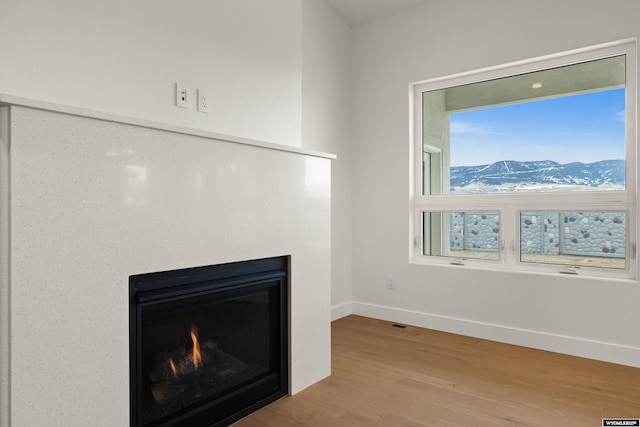 details featuring a mountain view, a lit fireplace, baseboards, and wood finished floors