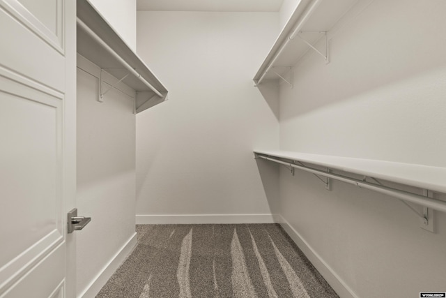 spacious closet with carpet flooring