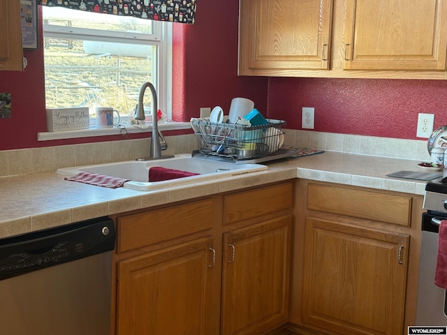 kitchen with dishwasher and sink