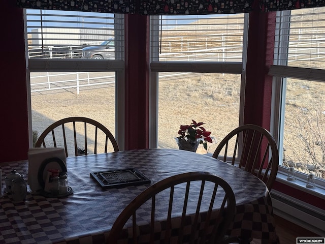 dining room featuring a healthy amount of sunlight