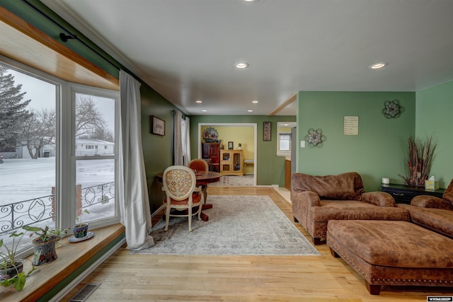 living room with light hardwood / wood-style floors and a healthy amount of sunlight