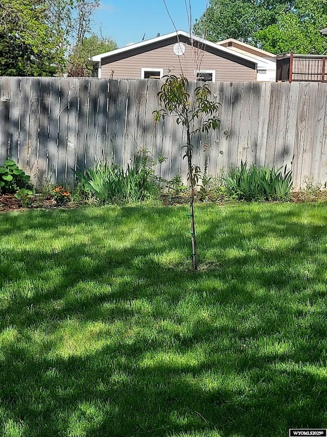 view of yard featuring fence