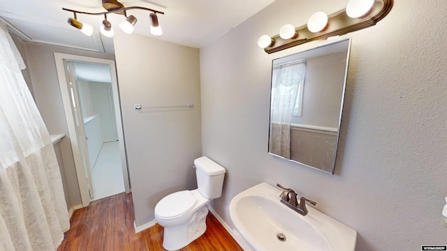 bathroom featuring wood finished floors, a sink, and toilet