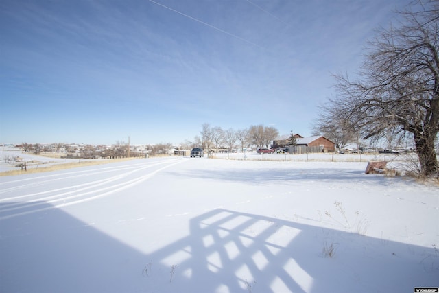 view of yard covered in snow