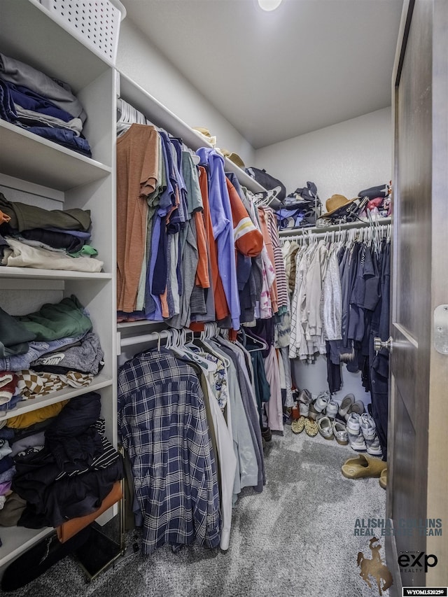 spacious closet featuring carpet flooring