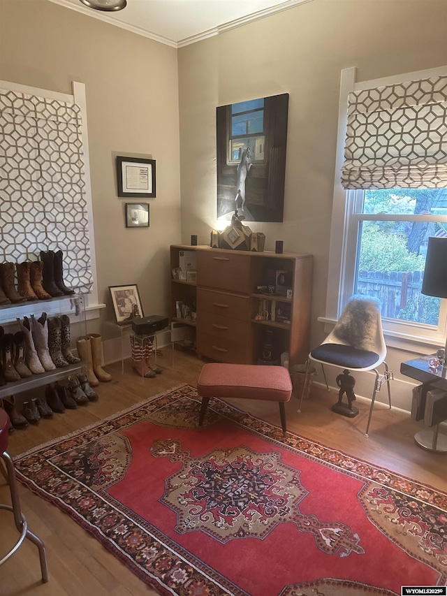 living area featuring crown molding and wood finished floors