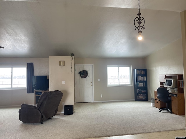 office featuring carpet, baseboards, and a wealth of natural light