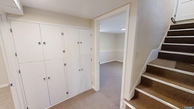 staircase featuring carpet floors and baseboards