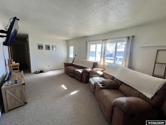 living area with carpet and a textured ceiling