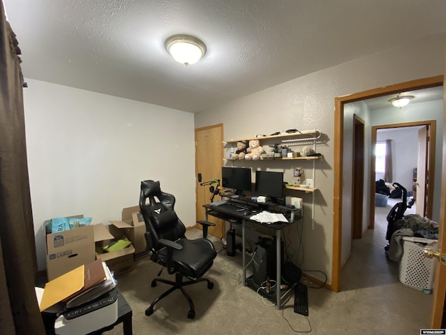 carpeted home office with a textured ceiling and a textured wall