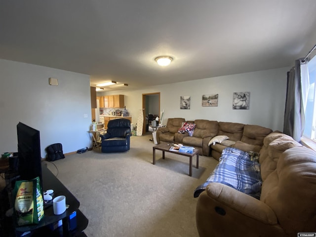 living room with carpet floors