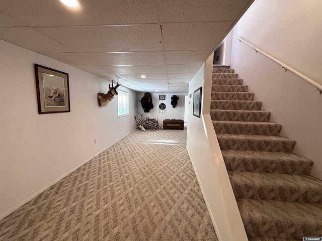 below grade area featuring a paneled ceiling, carpet, and stairway