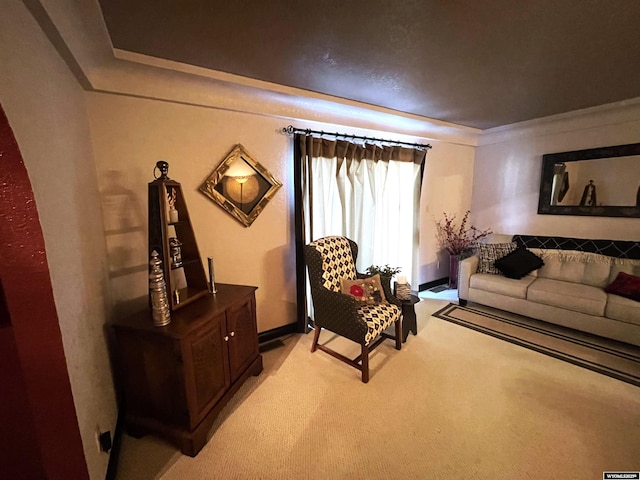 interior space featuring baseboards and light colored carpet