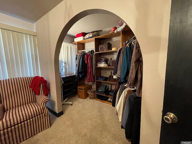 spacious closet featuring carpet