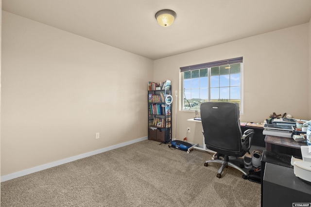 unfurnished office featuring carpet floors and baseboards