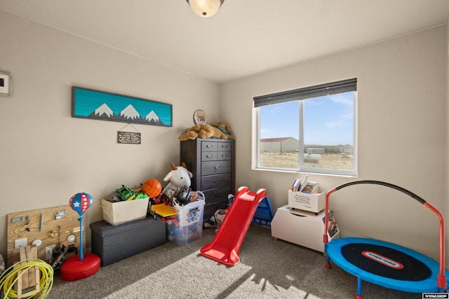 recreation room with carpet floors