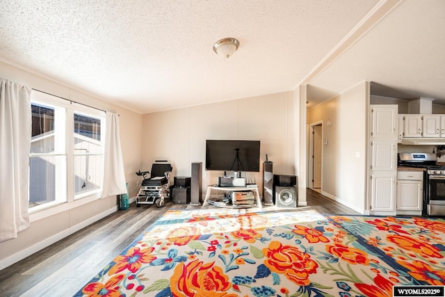 living area featuring a textured ceiling, baseboards, and wood finished floors