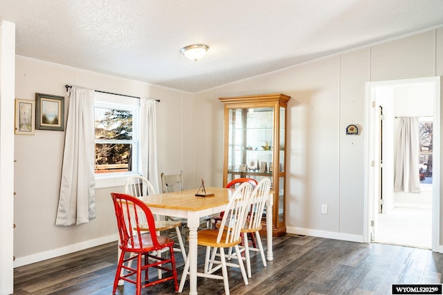 dining area featuring vaulted ceiling, a healthy amount of sunlight, dark wood finished floors, and a textured ceiling