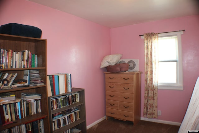 interior space with carpet floors and baseboards