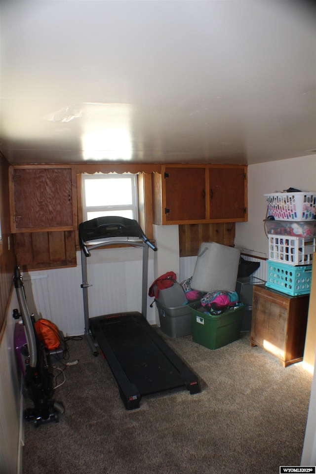 workout room featuring carpet floors