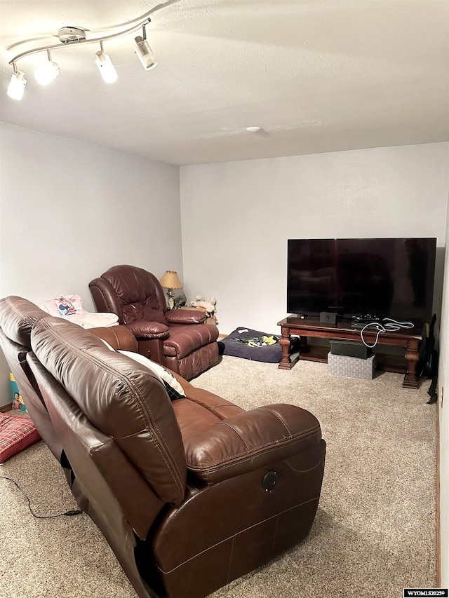 living room featuring carpet and track lighting