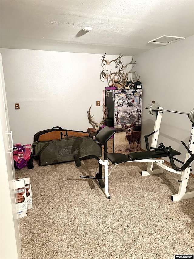 workout area with carpet and a textured ceiling