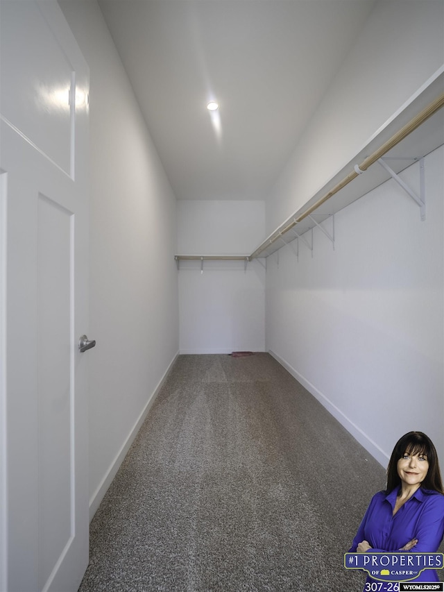 walk in closet featuring carpet flooring