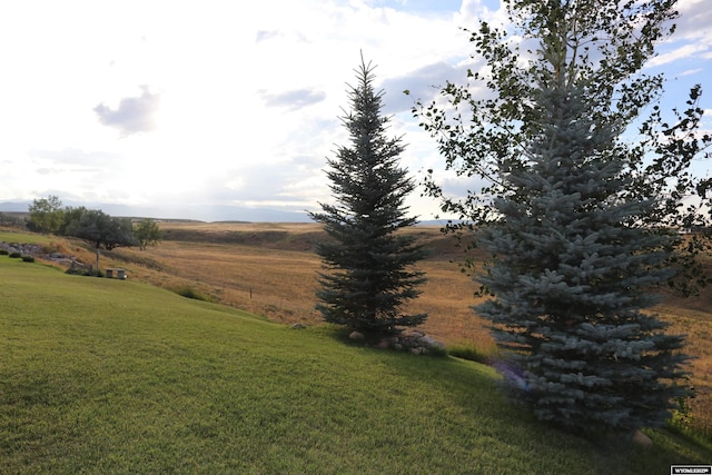 view of yard featuring a rural view