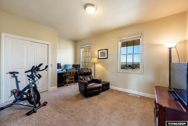 exercise room with carpet flooring, visible vents, and baseboards