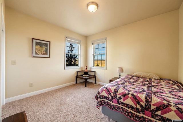 bedroom with baseboards and carpet flooring