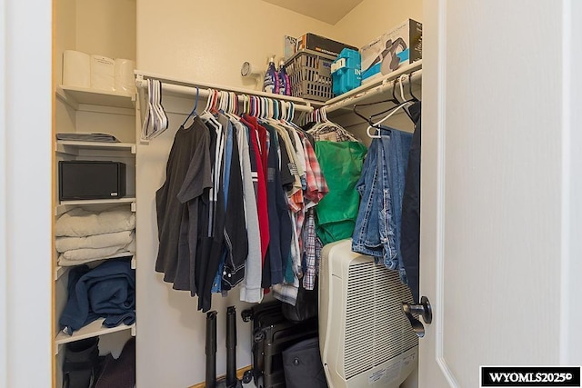 view of walk in closet